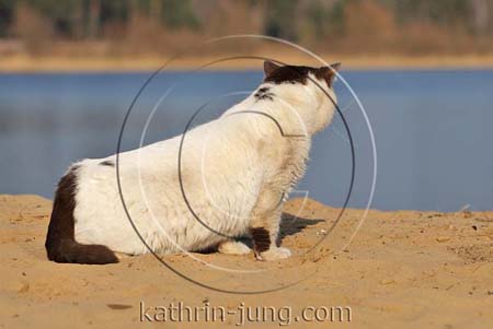 BKH schmutzig outdoor Strand See