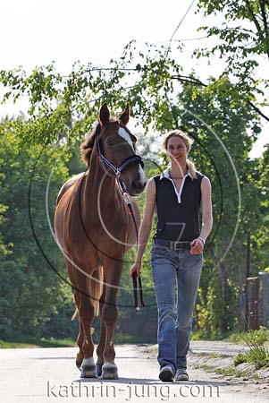 Pferd und Frau Pferd und Frau