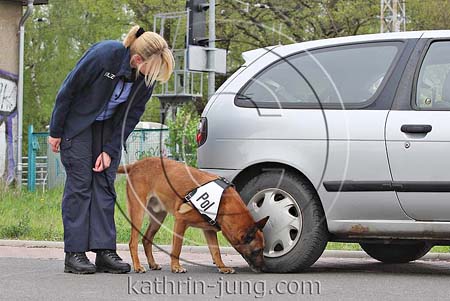 Malinois Polizei Training Auto