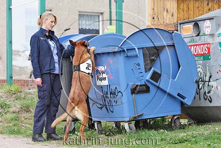 Malinois Polizei Training Drogensuche Müllcontainer