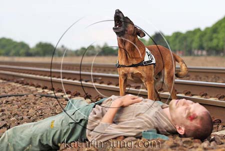 Hund findet verletzte Person