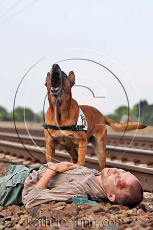 Hund Malinois findet verletzte Person