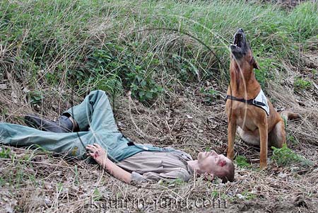 Hund Malinois findet verletzte Person Training Polizei
