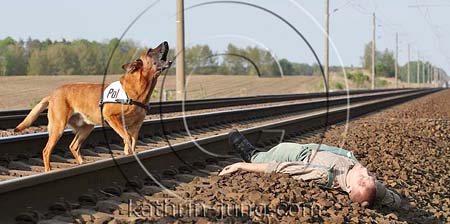 Hund findet verletzte Person Training Polizei