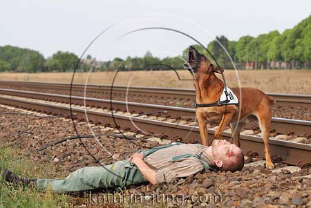 Hund findet verletzte Person Training Polizei
