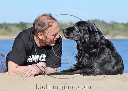 Flatcoated Retriever Senior mit Herrchen