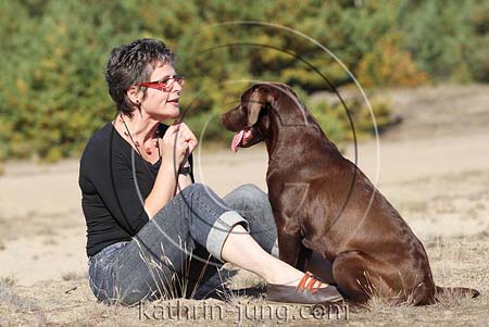 Labrador braun mit Frauchen Person Mensch