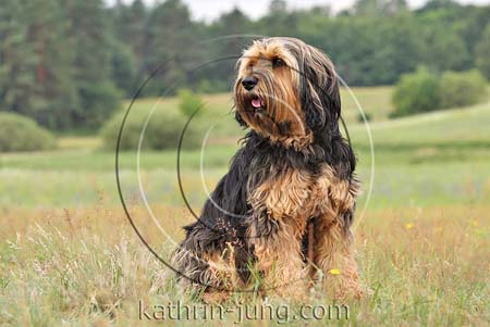 Natur Mischling